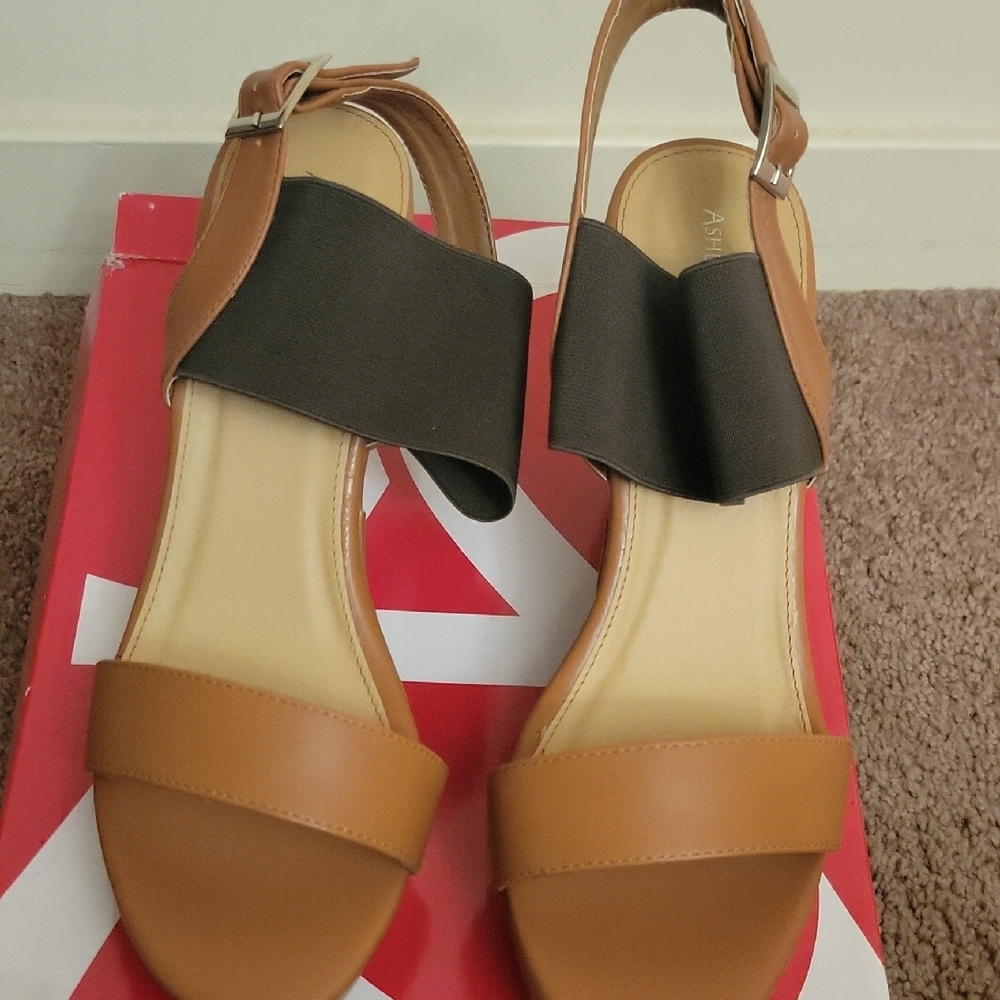 Brown and Black Women's Sandals